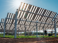 Passejada taller comunitari d'agrivoltaica i paisatgisme