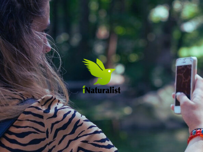 Biodiversitat al Campus de Terrassa