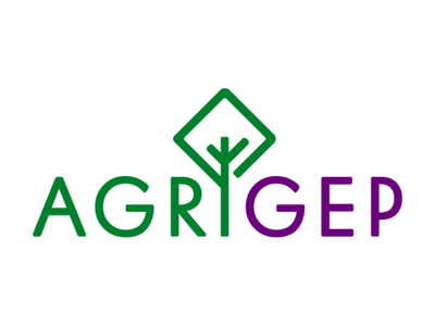 Women’s Empowerment with Stakeholders