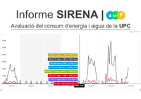 Formació Sirena