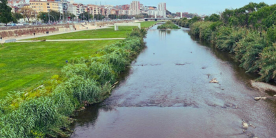 Flood-Resilient Urban Rivers: A Collaborative Approach to Restoration