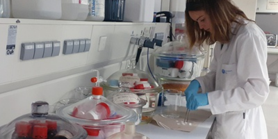 La UPC, la Universitat que més fons capta en el programa Horizon Europe