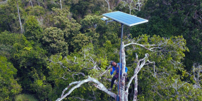 Providence.Transformant el monitoratge de la biodiversitat a la selva amazònica
